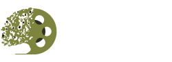 افلام قلسطين| palestinefilms